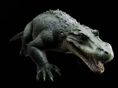 Realistic Crocodile Reptile With Green Scaly Skin And Open Mouth Against Black Background 3d model