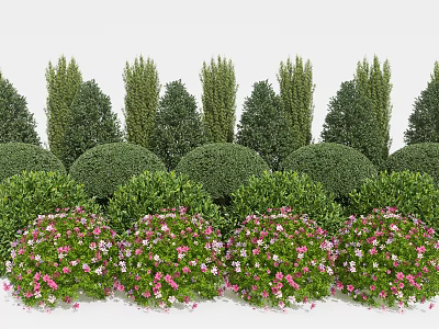 Well Trimmed Flowering Shrubs With Green Foliage And Pink Blooms In Garden Landscape 3d model