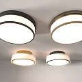 Modern Round Ceiling Light With Stylish Design And Multiple Color Options For Home 3d model