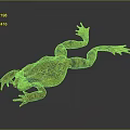 Brown And Black Spotted Frog With Stretched Limbs On Dark Background Surface 3d model
