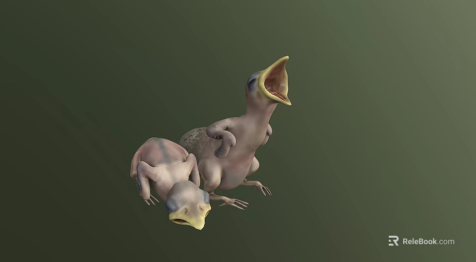 Two Baby Birds With One Opening Mouth On Green Background 3d model 