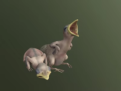 Two Baby Birds With One Opening Mouth On Green Background 3d model