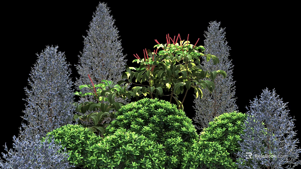 Colorful Garden Shrubs With Green Purple Foliage And Red Accent Branches 3d model 