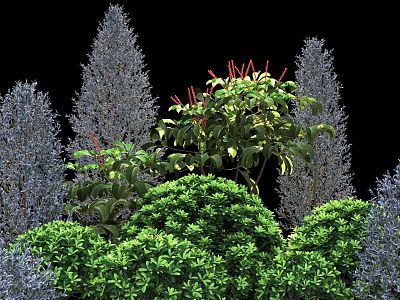 Colorful Garden Shrubs With Green Purple Foliage And Red Accent Branches 3d model