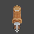 Realistic Saint Bernard Dog 3D Model With Brown And White Fur Standing Pose