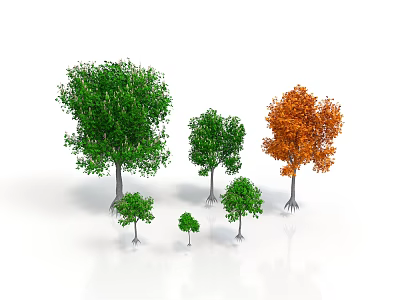 Various Types of Trees in Different Sizes With Green and Orange Foliage on White Background 3d model