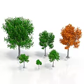 Various Types of Trees in Different Sizes With Green and Orange Foliage on White Background