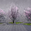 Pink Blossom Flowering Trees With Gray Wall Background Stone Path Grass And Rocks