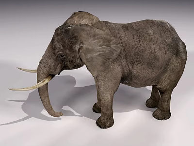 The Modern Elephant 3d model