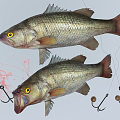 Modern Fish 3d model