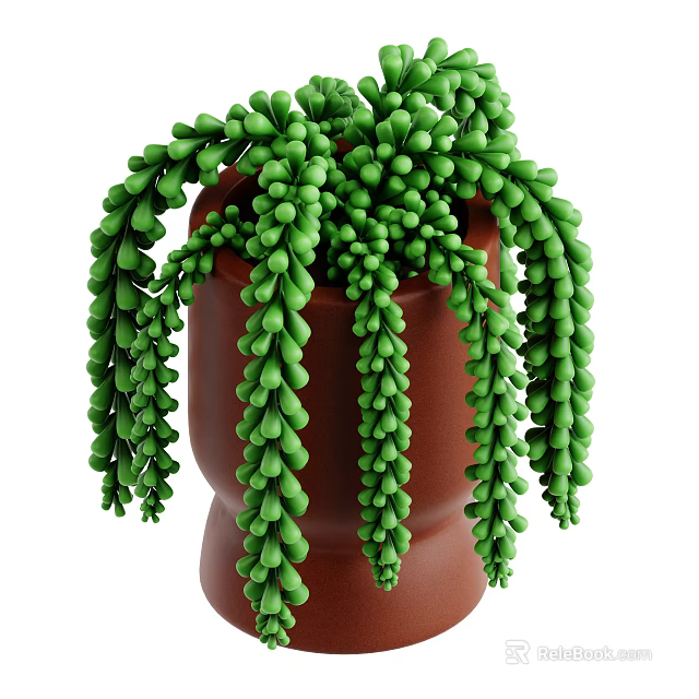 String of Pearls Plant With Green Bead Like Leaves In Brown Terracotta Pot Hanging Down 3d model 