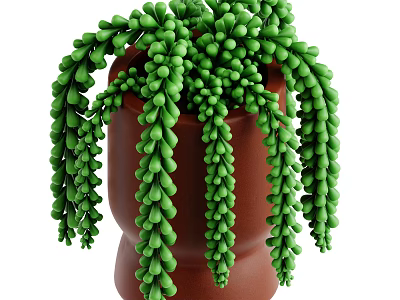 String of Pearls Plant With Green Bead Like Leaves In Brown Terracotta Pot Hanging Down 3d model