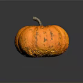 Ripe Fresh Orange Textured Pumpkin on Black Background with Clear Reflection
