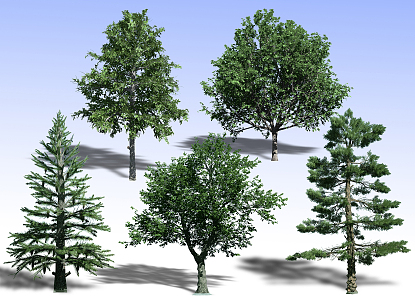 Plants 3d model