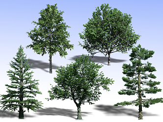 Plants 3d model