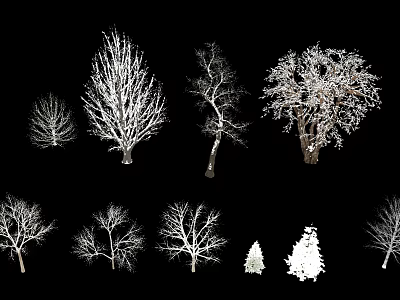 Collection of Various Arbor Trees with Different Silhouettes on Black Background 3d model