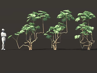 Tall Green Trees With Twisted Trunks And Lush Leaves Next To Person In Hat 3d model