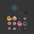 Colorful Decorative Household Items With Seashells Starfish Corals And Seaweed