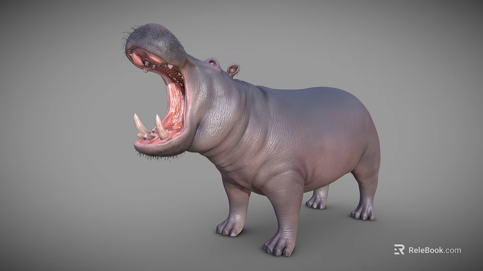 Reptile Crocodile With Open Mouth Displaying Sharp Teeth Against Gray Background 3d model 