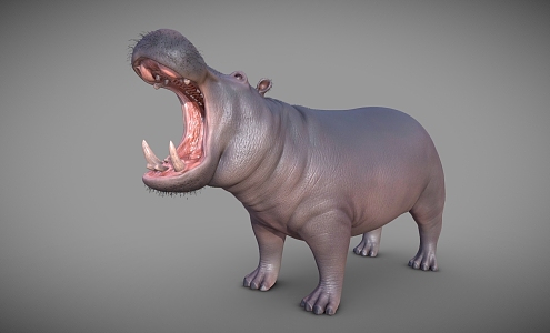 Modern Hippo Cartoon Hippo Buffalo Cartoon Animal 3d model