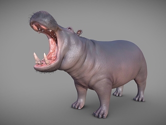 Modern Hippo Cartoon Hippo Buffalo Cartoon Animal 3d model