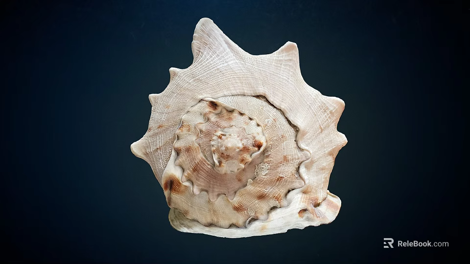 Unique Spiral Shell With Textured Surface And Cream Brown Tones On Dark Background 3d model 