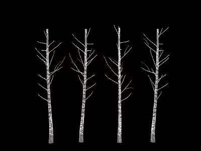Modern Trunk White Birch Trunk 3d model Modern Trunk White Birch Trunk 3d model