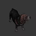 Game Movie Character Beagle Dog 3D Model Standing Pose Brown Black White Fur