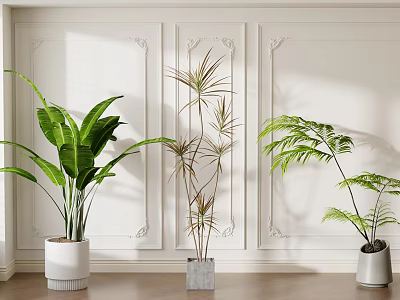 Potted Indoor Plants With Different Leaf Shapes In Modern Wall Moldings And Wooden Floor Interior 3d model