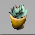 Close Up of Succulent Plant With Turquoise Leaves and Red Spines in Yellow Pot