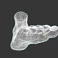 Realistic 3D Rendering of Human Foot with Toes and Sole on Dark Background