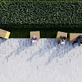 People Sitting On Outdoor Landscape Seats With Yellow Wooden Design Green Hedge And Paved Floor