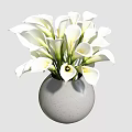 Beautiful White Calla Lilies in a Modern Gray Vase for Home Decoration
