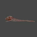 Mythical Winged Game and Movie Character With Brown Body Fierce Expression Dark Striped Background