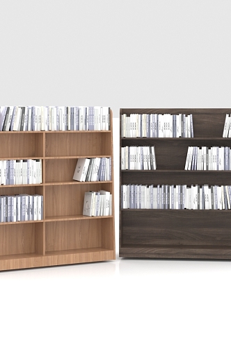 Bookcase Side Cabinet Double-sided Bookshelf 3d model