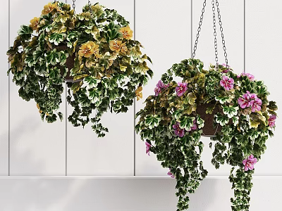 Decorative Hanging Plant Arrangement With Green Leaves Yellow Pink Flowers Chain And White Background 3d model
