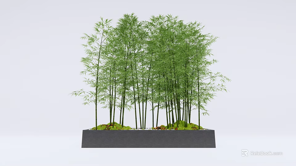 Lush Green Potted Bamboo Plants in Rectangular Container with White Background 3d model