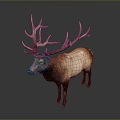 Realistic 3D Deer Model In Standing Pose With Large Antlers And Brown Coat