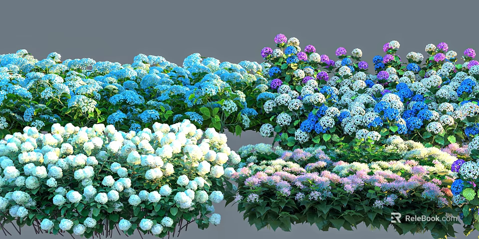Vibrant Hydrangea Bushes In Blue White Purple Pink With Lush Green Leaves 3d model 