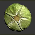 Fresh Green Cabbage With Round Shape And Vibrant Leaves On Dark Background
