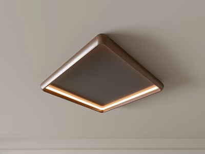 Modern Square Brown Frame Ceiling Light With Dark Center And LED Strip Illumination 3d model