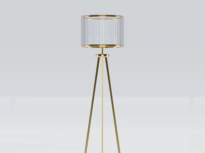 Modern Gold Floor Lamp with Transparent Cylinder Lampshade and Tripod Base 3d model