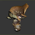 Unique Shaped Orange Brown Mushroom With Natural Texture On Gray Background