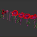 Red Poppies With Green Stems And Leaves On Gray Background With Reflections