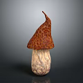 Fresh Edible Mushroom With Brown Textured Cap And Light Colored Stem