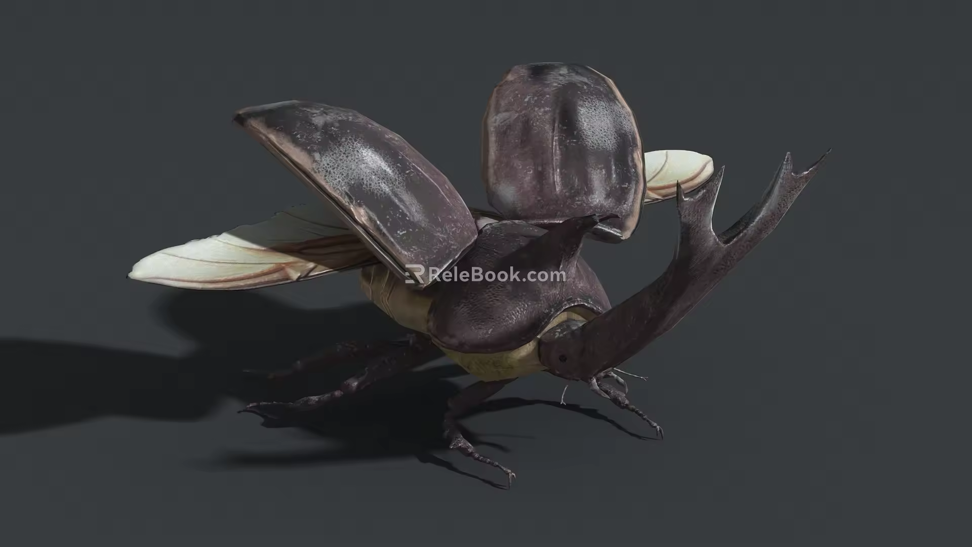 Realistic unicorn fairy double fork rhinoceros golden tortoise next generation beetle insect arthropod winged insect hexapod 3d model