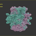 eukaryotic cell cross section cell cell structure cell tissue anatomy organ human organ 3d model