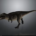 Realistic Tyrannosaurus Rex Dinosaur Character 3D Model Standing Pose With Detailed Skin Texture
