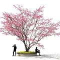 Ornamental Bonsai Plant with Pink Flowers Lush Branches and Yellow Blooms Around Circular Base