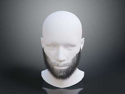 Modern Beard Model Beard model